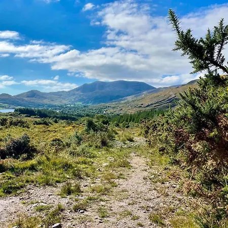 Hungry Hill Glamping Кемпинг